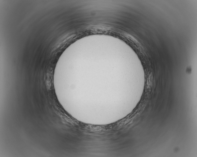 X0000116820774201001291621