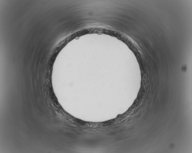 X0000116820775201001291621