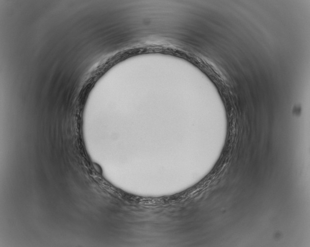 X0000116820776201001291621