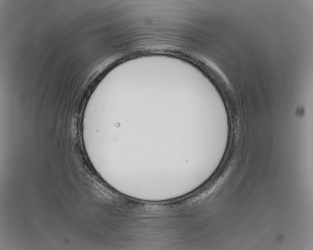 X0000116820777201001291621