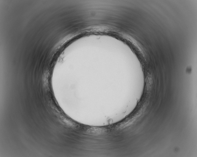 X0000116820778201001291621