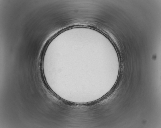 X0000116820779201001291621