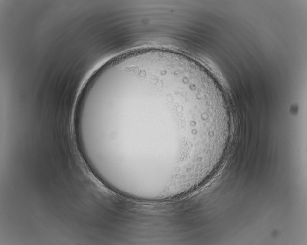 X0000116820780201001291621