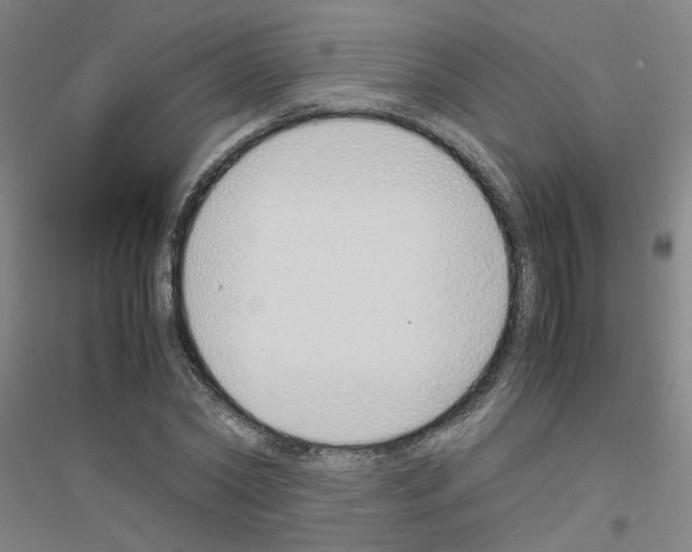 X0000116820782201001291621