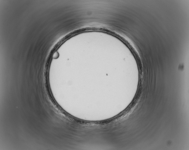 X0000116820783201001291621