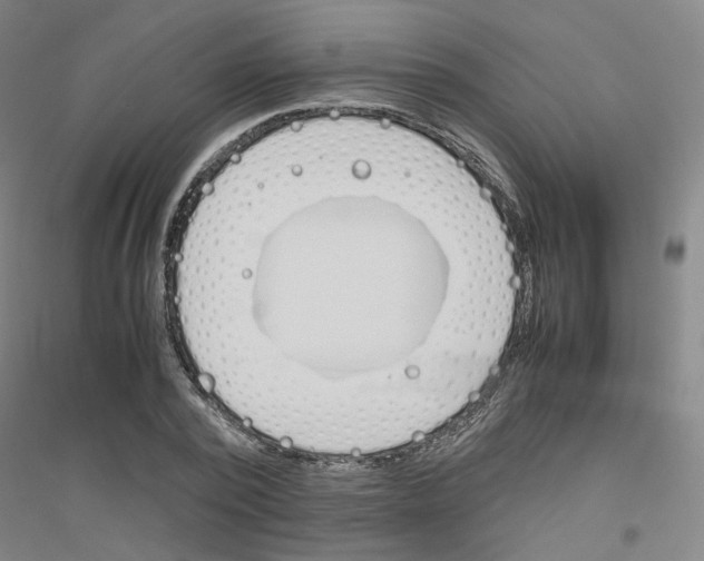 X0000116820784201001291621