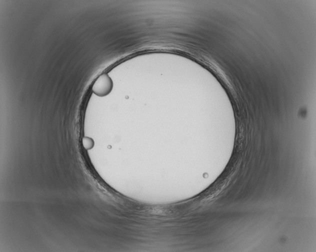 X0000116820787201001291621