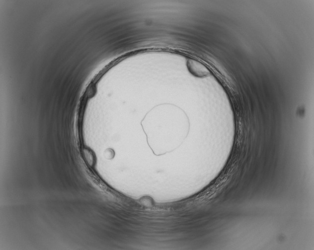 X0000116820788201001291621