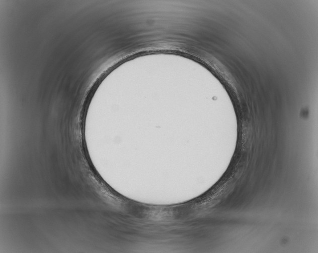 X0000116820789201001291621