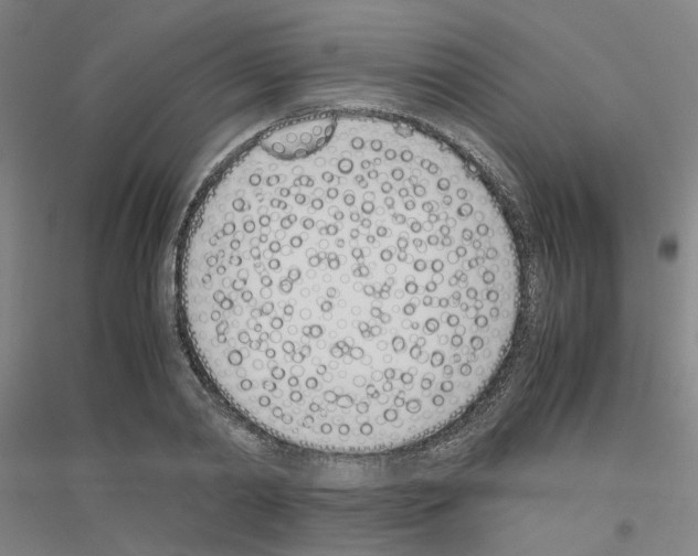 X0000116820790201001291621