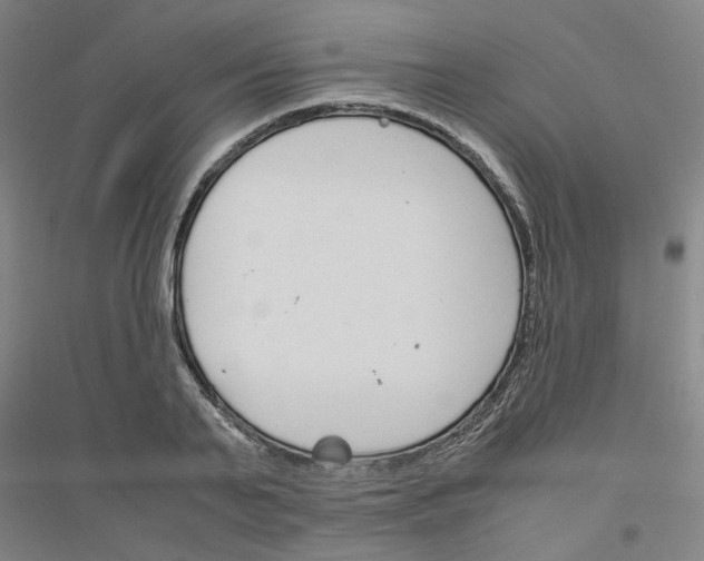 X0000116820791201001291621