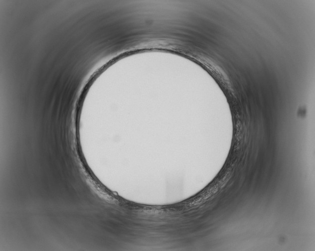 X0000116820792201001291621