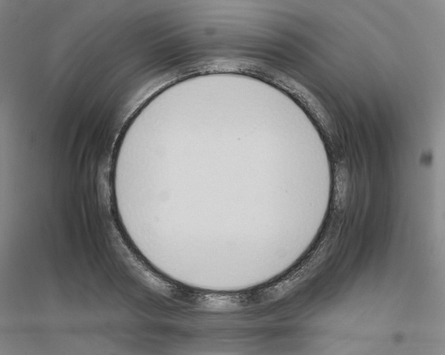 X0000116820794201001291621