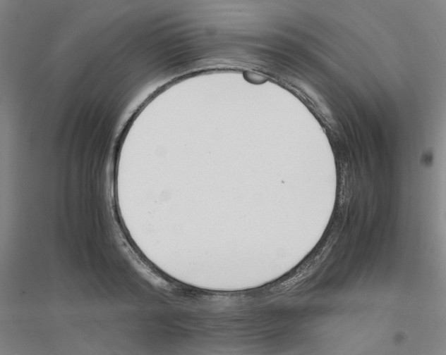 X0000116820796201001291621