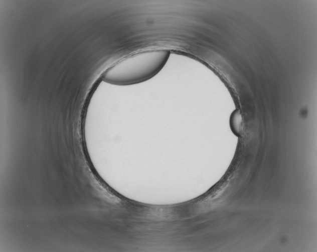 X0000116820797201001291621