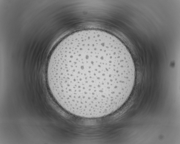 X0000116820798201001291621