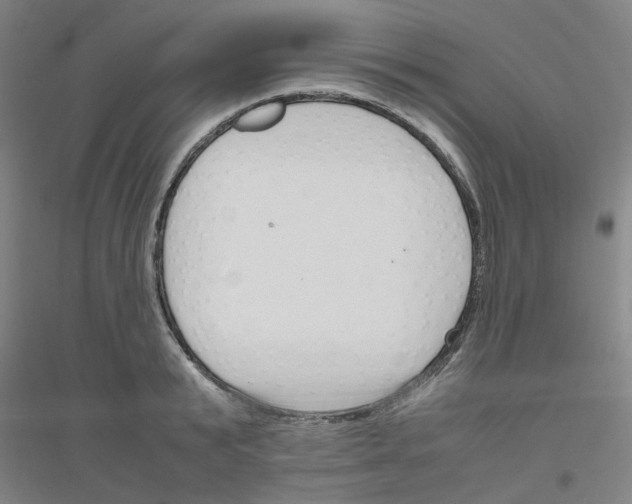 X0000116820799201001291621