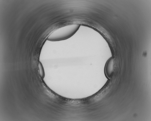 X0000116820801201001291621