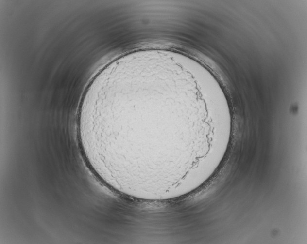 X0000116820802201001291621