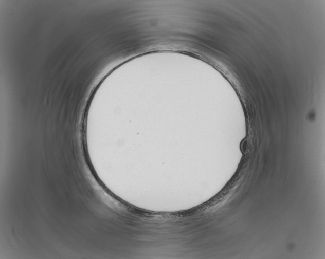 X0000116820803201001291621