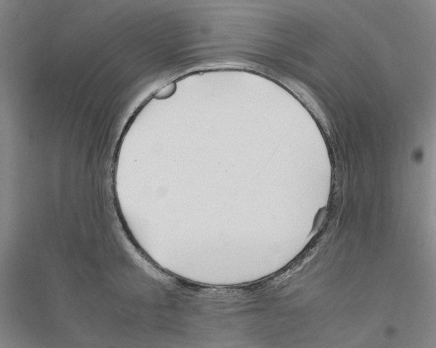 X0000116820805201001291621