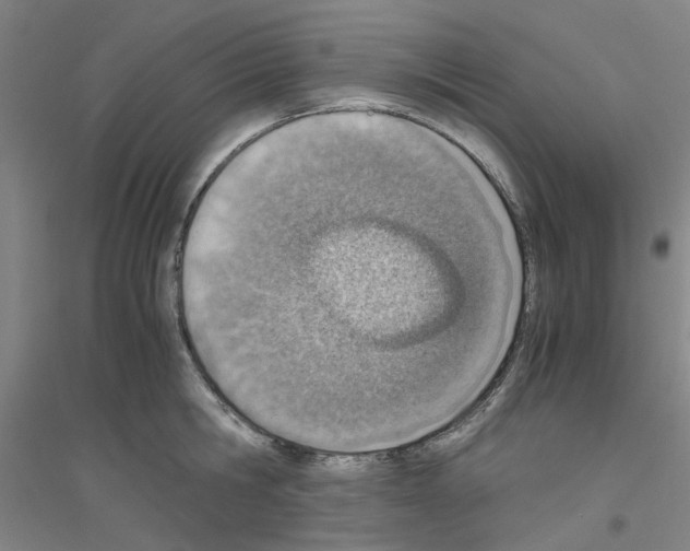 X0000116820806201001291621