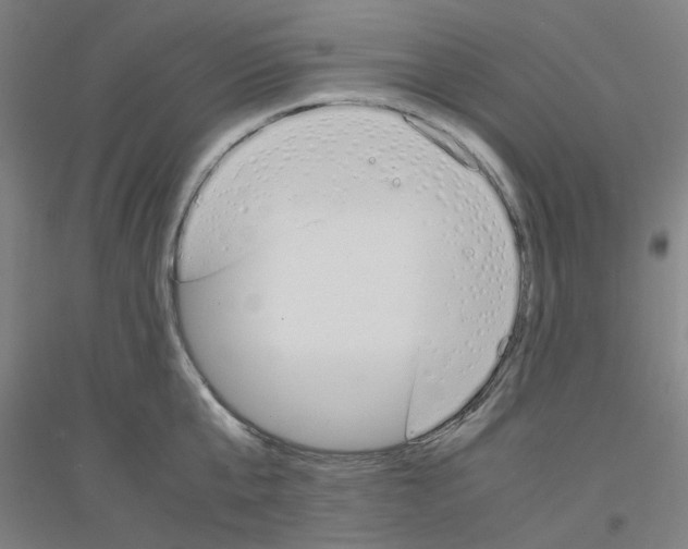 X0000116820807201001291621