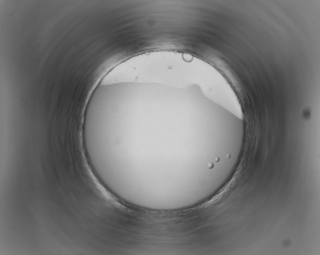 X0000116820810201001291621