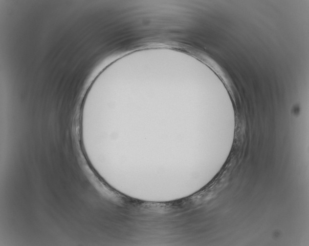 X0000116820811201001291621