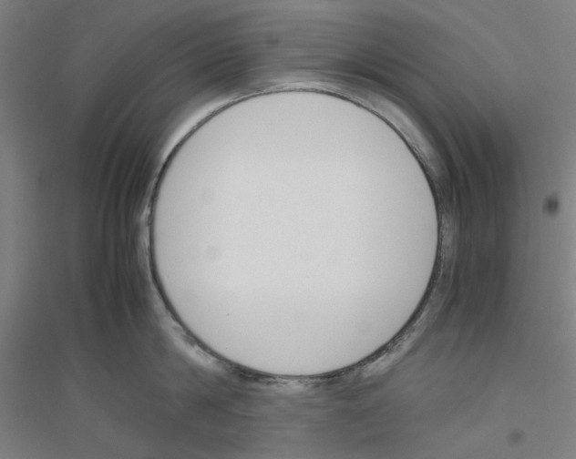 X0000116820814201001291621