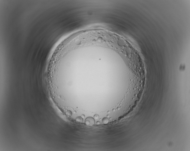 X0000116820816201001291621