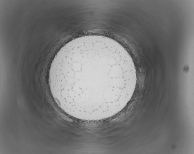 X0000116820817201001291620