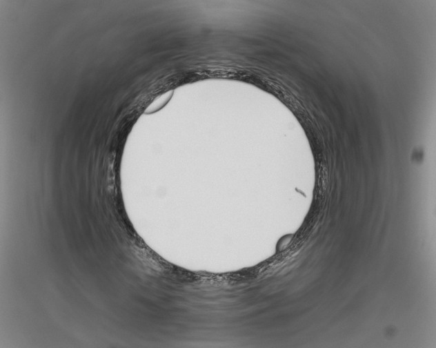 X0000116820818201001291620