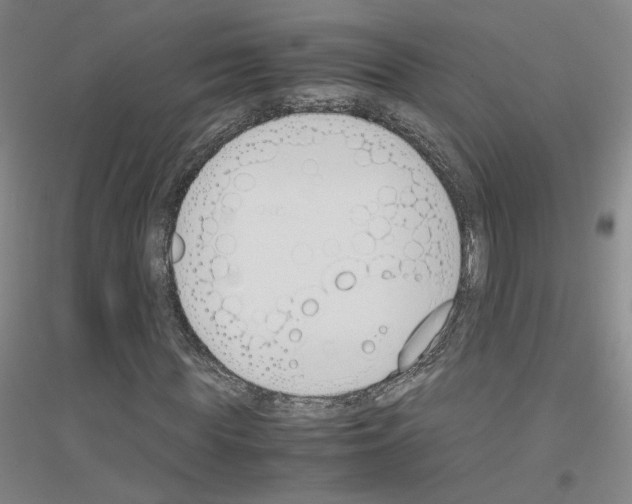 X0000116820819201001291620