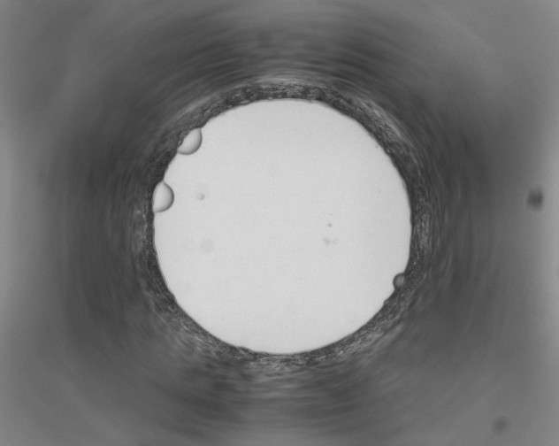 X0000116820821201001291620