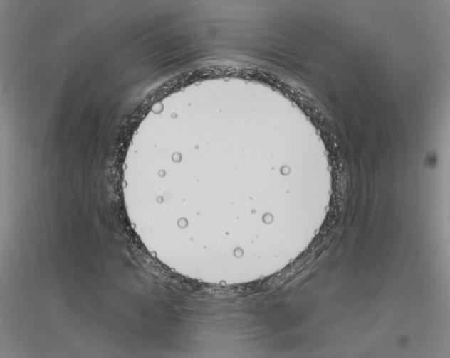 X0000116820822201001291620