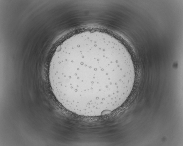 X0000116820823201001291620