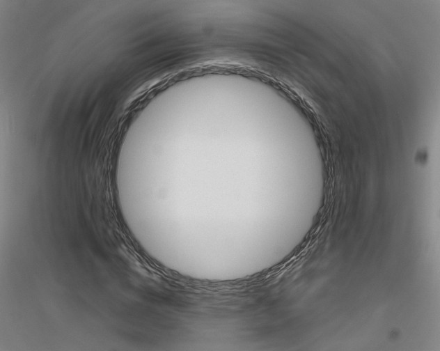 X0000116820824201001291620