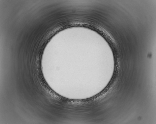 X0000116820825201001291620