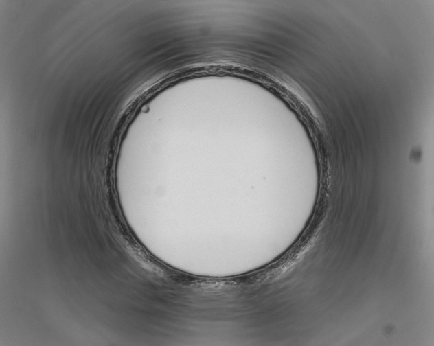 X0000116820826201001291620