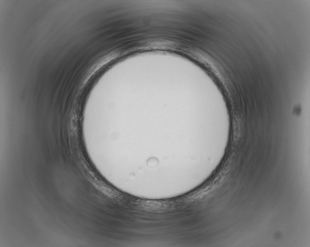 X0000116820827201001291620