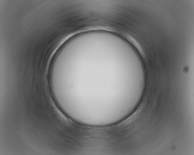 X0000116820828201001291620