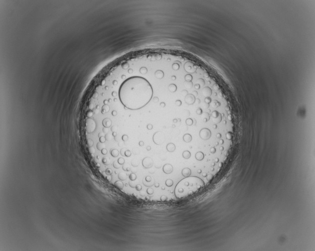 X0000116820830201001291620