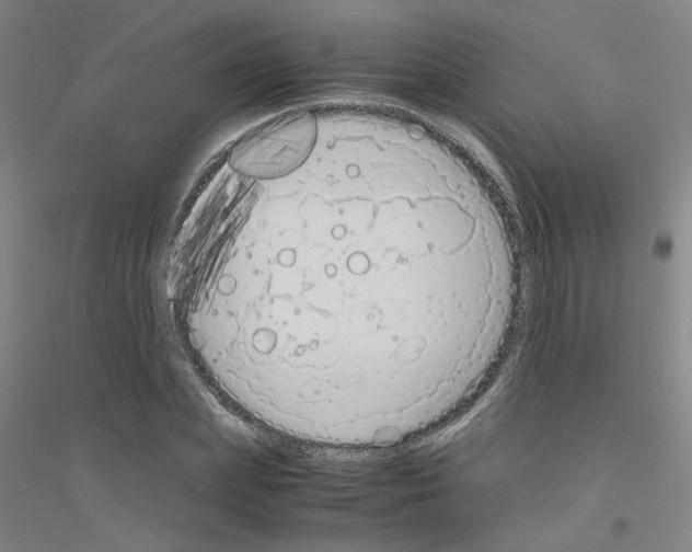 X0000116820831201001291620