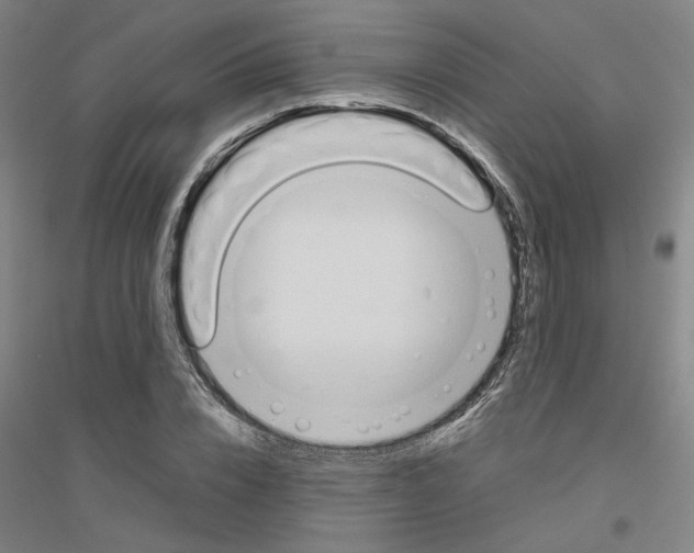 X0000116820832201001291620