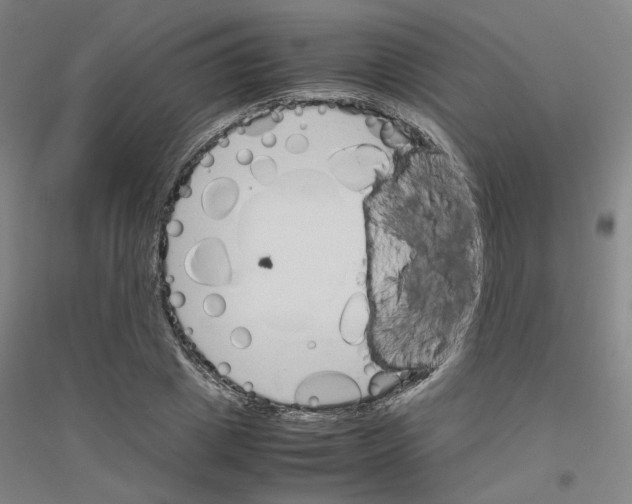 X0000116820833201001291620