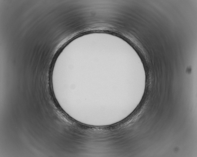 X0000116820834201001291620