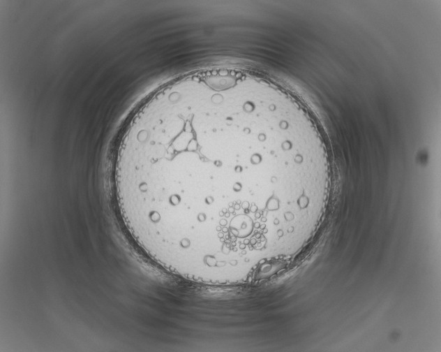 X0000116820835201001291620