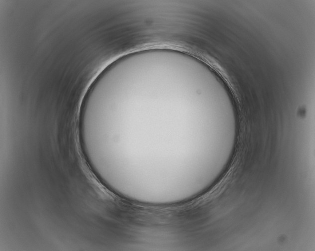 X0000116820836201001291620