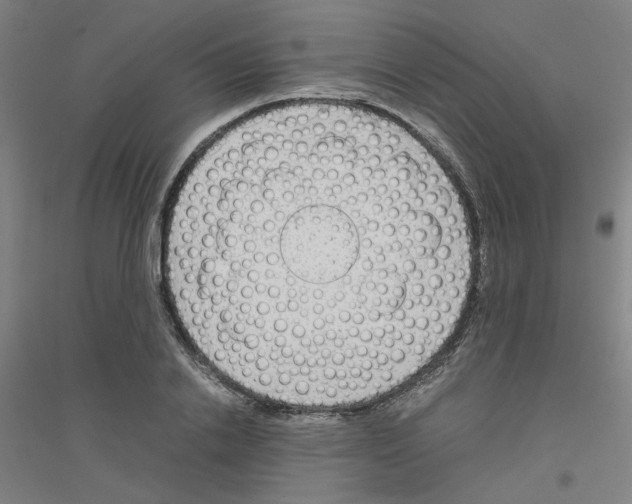 X0000116820838201001291620